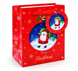 Small Printed Christmas Gift Bag