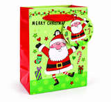 Small Printed Christmas Gift Bag