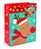 Medium Printed Christmas Gift Bag