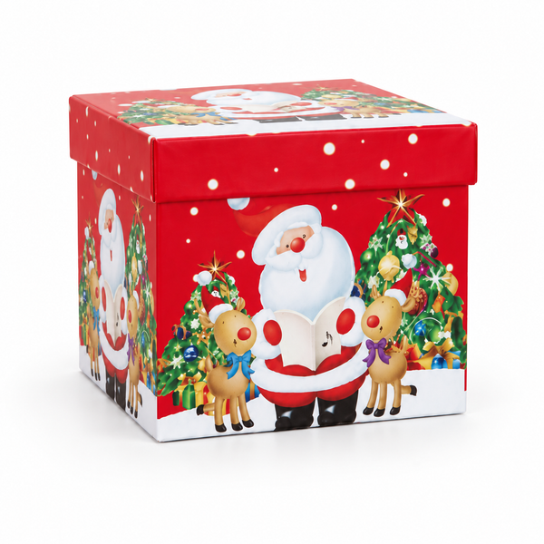 Christmas Santa or Reindeer Gift Box