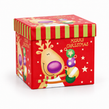 Christmas Santa or Reindeer Gift Box