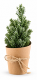 Mini Potted Christmas Tree 15 cm