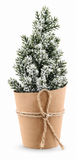 Mini Potted Christmas Tree 15 cm