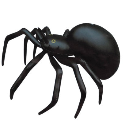 Black spider with long legs – 91cm