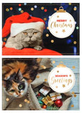 Christmas Card Bundle 10PK - Photographic