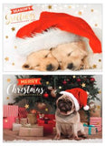 Christmas Card Bundle 10PK - Photographic