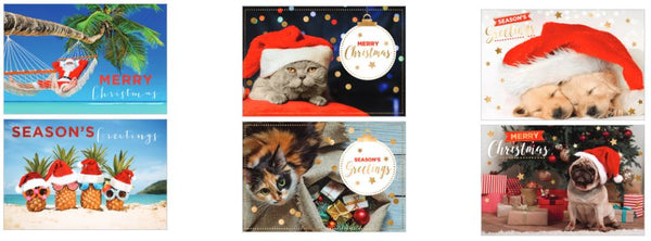Christmas Card Bundle 10PK - Photographic