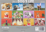 Calendar (Rectangle) - Its A Dogs Life
