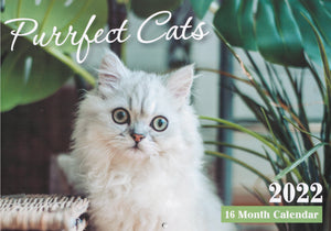 日历（长方形）- Purrfect Cats