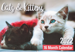 Calendar (Rectangle) - Cats And Kittens