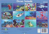Calendar (Rectangle) - Ocean Animals