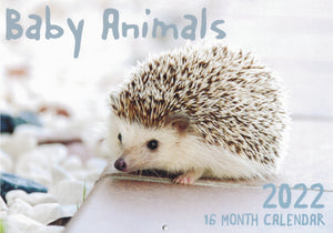 Calendar (Rectangle) - Baby Animals