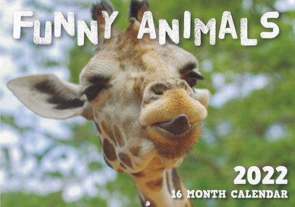 Calendar (Rectangle) - Funny Animals