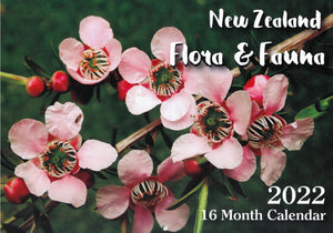 日历（矩形）- NZ Flora And Fauna