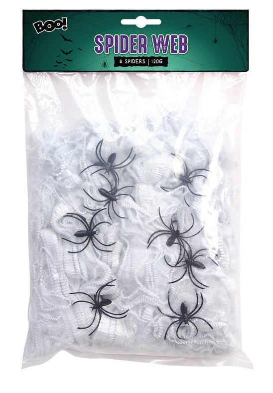Spider Web With 8 Spiders