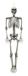 Life Sized Hanging Skeleton (1.6M)