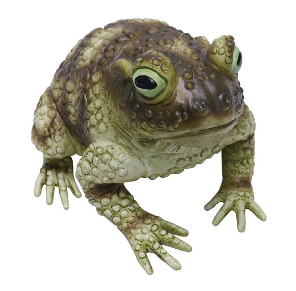 Jumbo Toad (25cm)