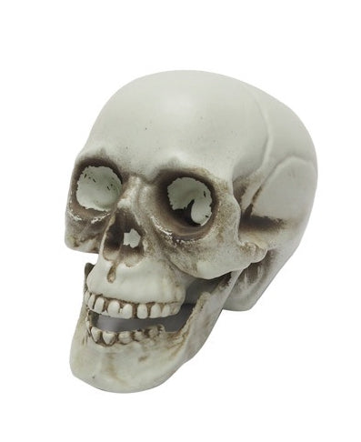 Skull Décor 10cm