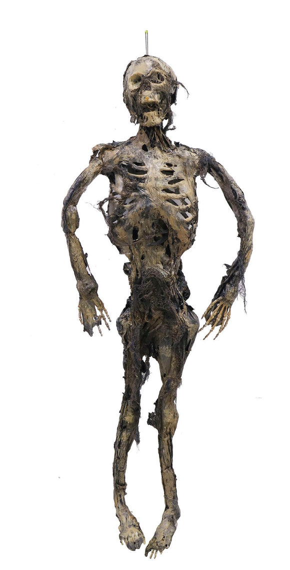 Mummified Human Body (3M)