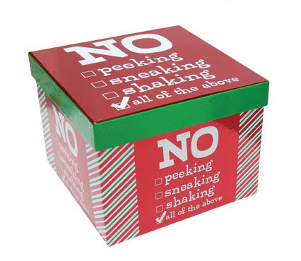 Christmas Gift Box (Square) Foil - Large