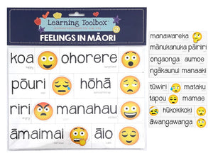 Magnetic Learning Resources - Feelings In Maori